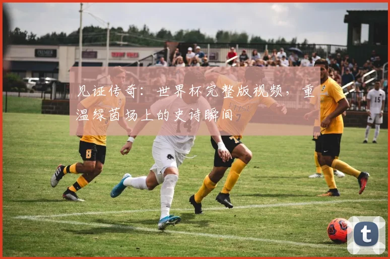 见证传奇：世界杯完整版视频，重温绿茵场上的史诗瞬间